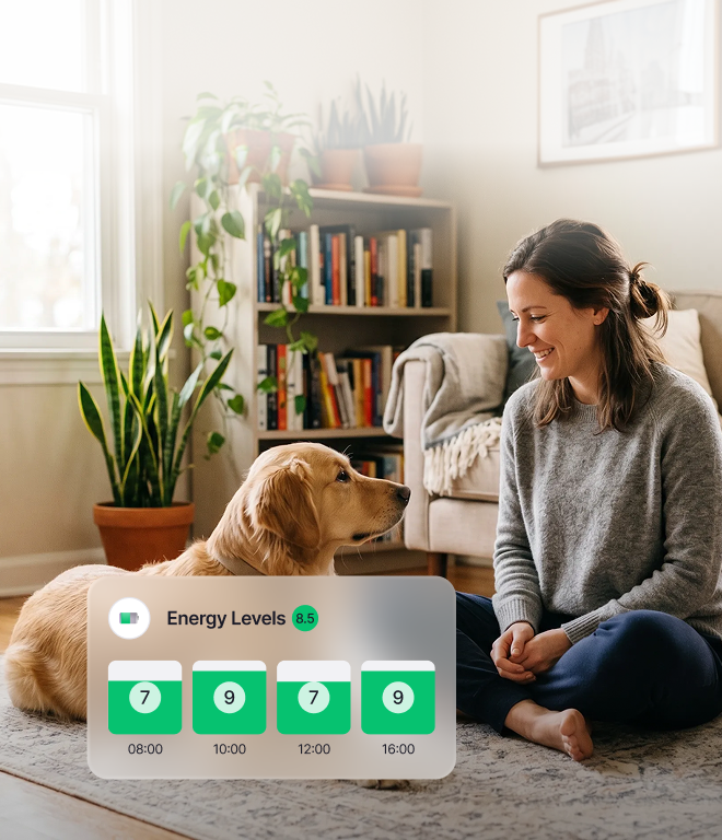 Train your dog in 5 minutes a day