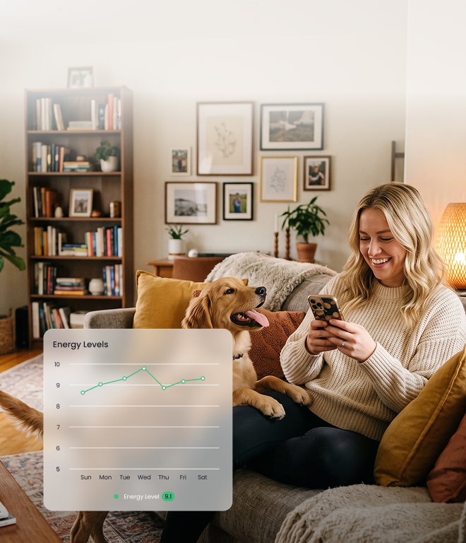 Raise a well-behaved dog
