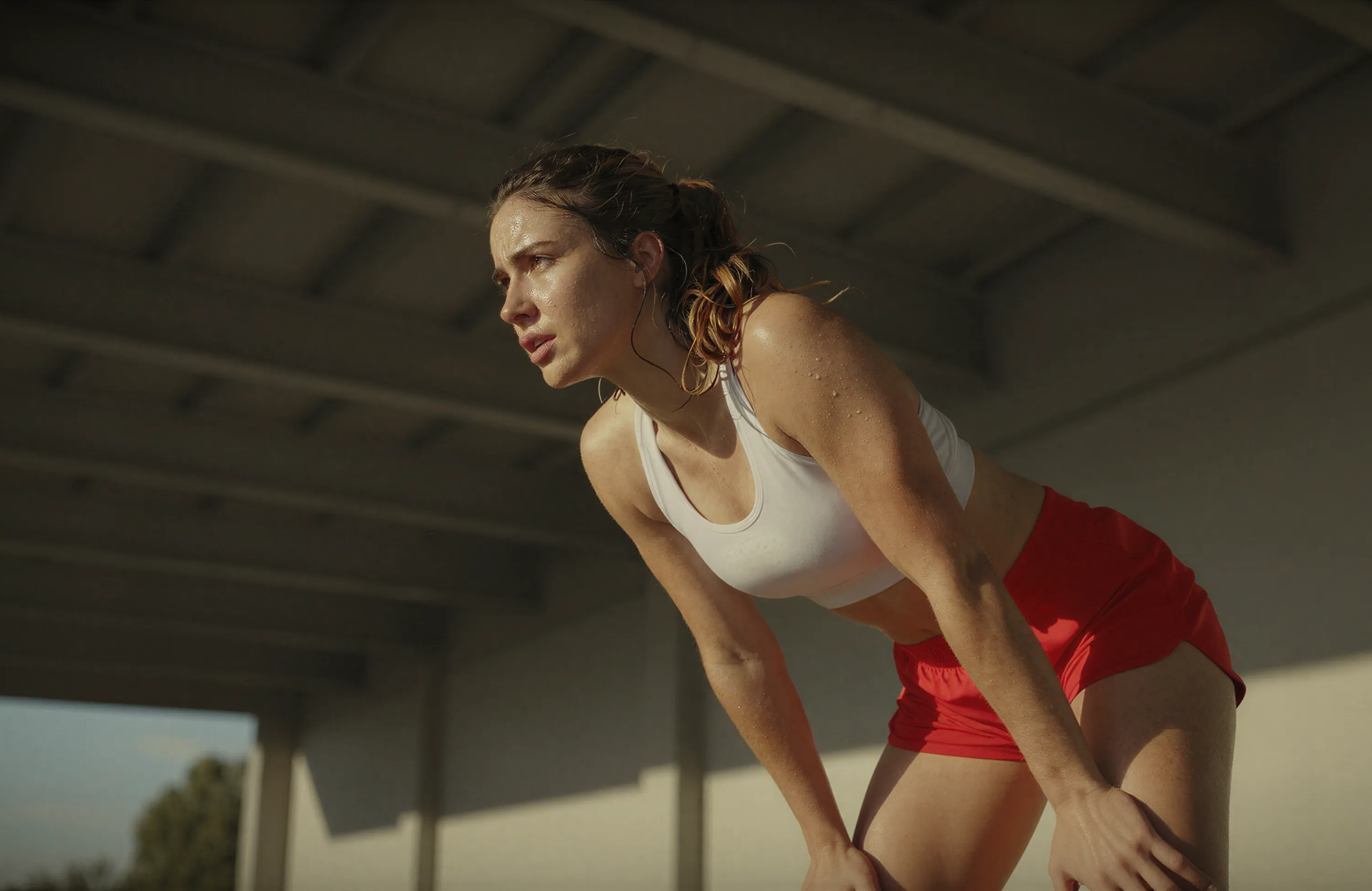 Workout Plans for Every Experience Level