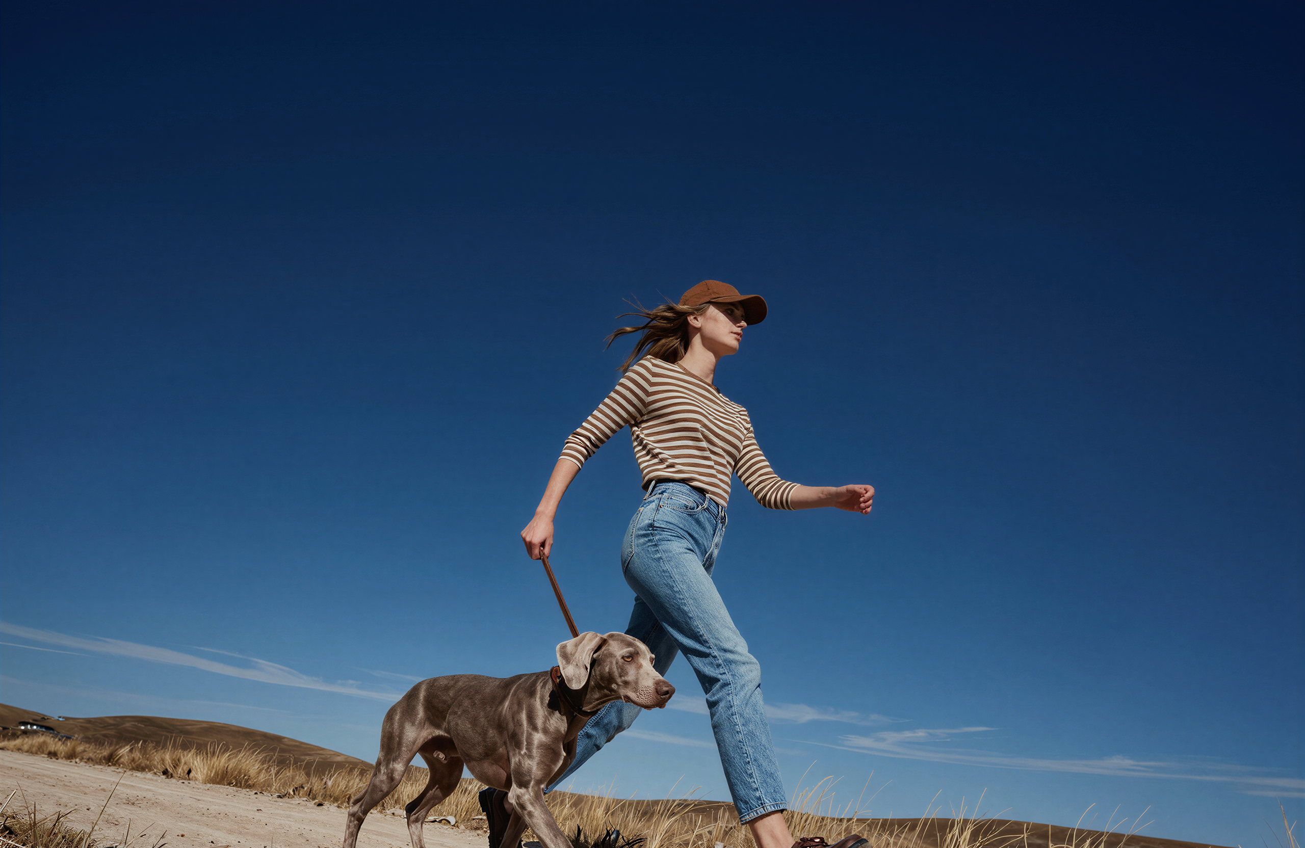 A Training Book Made for Your Dog A Training Book Made for Your Dog